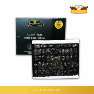 Kurma Ajwa MZ 500gr